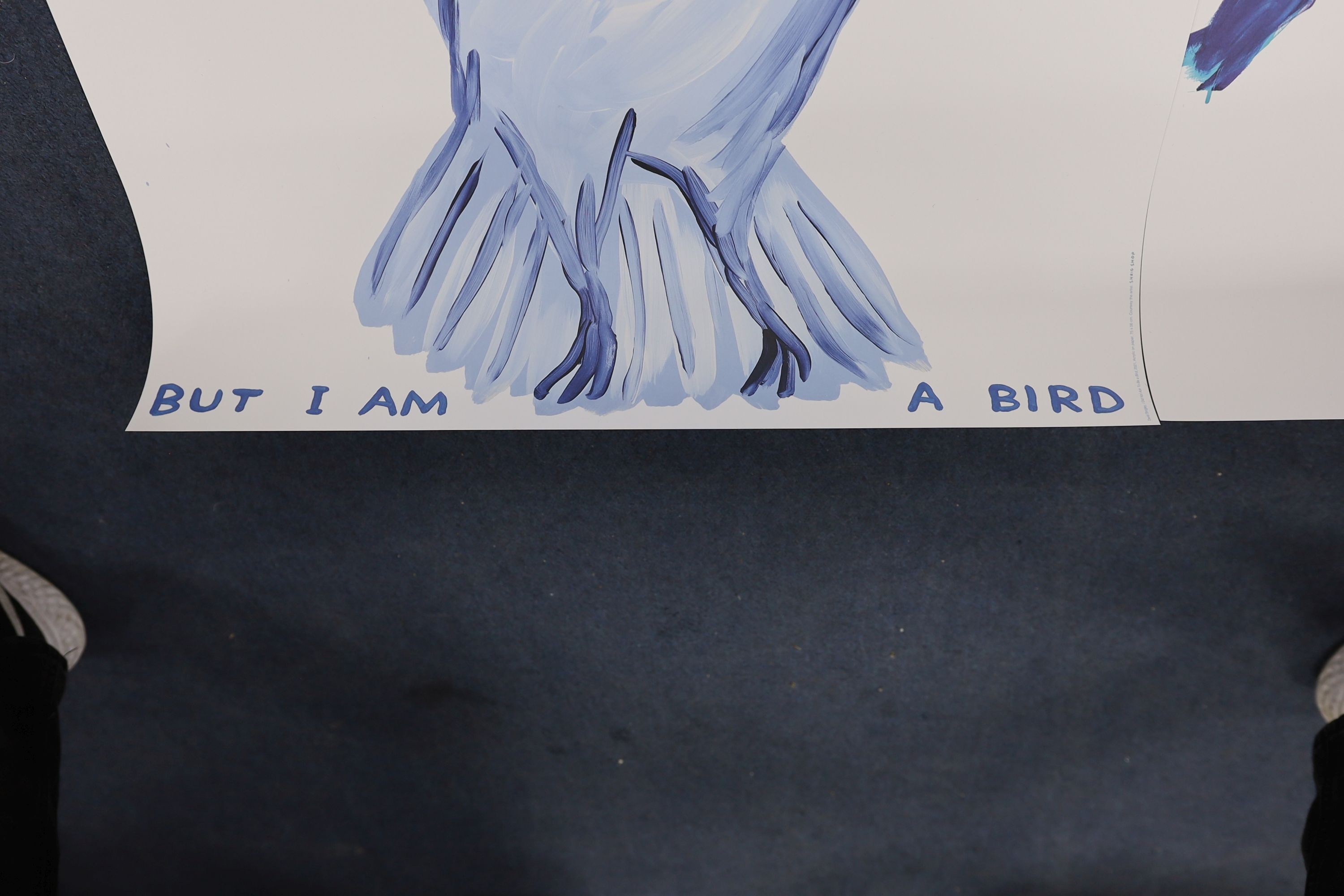 David Shrigley (1968-), two colour prints, 'Life is very good' and 'I did not ask to be a bird', 80 x 60cm, unframed